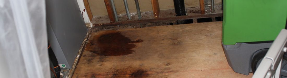 Water Damage? 3 Things You Want to Know About Drying Out Water Damage? 3 Things You Want to Know About Drying Out