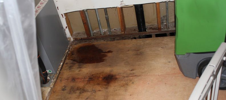 Water Damage? 3 Things You Want to Know About Drying Out